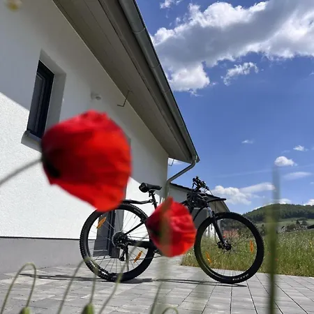 Ferienhaus Diemelblick 37 * Heringhausen